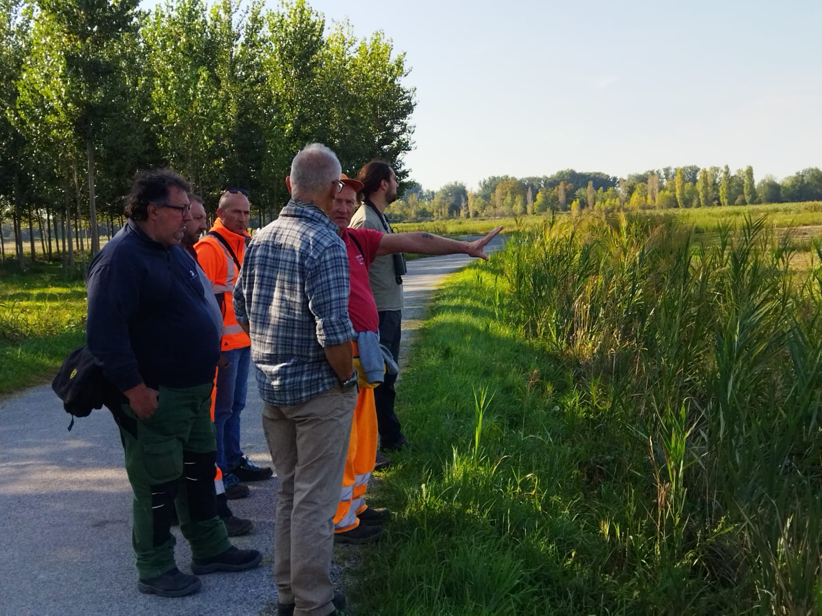 Immagine per Ronchi, tutela della biodiversità: tecnici impegnati sui corsi d'acqua